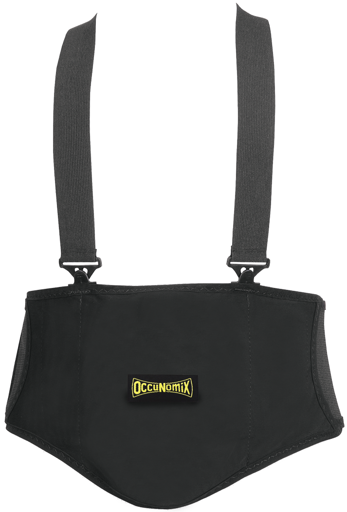 Premium Lumbar Back Support