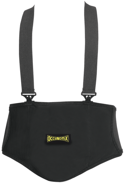Premium Lumbar Back Support - Image 1