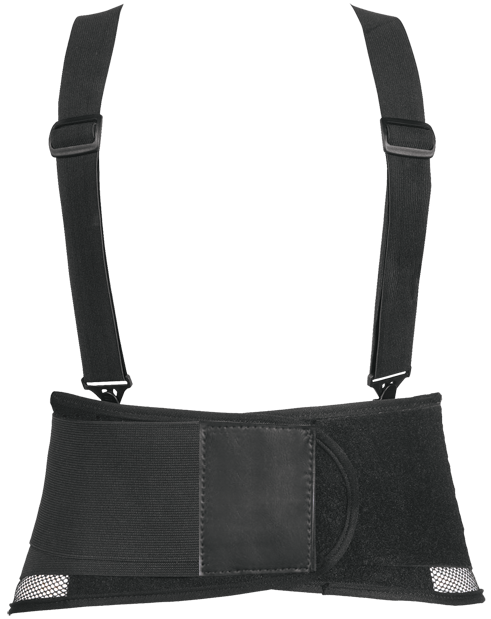 Classic Lumbar Back Support