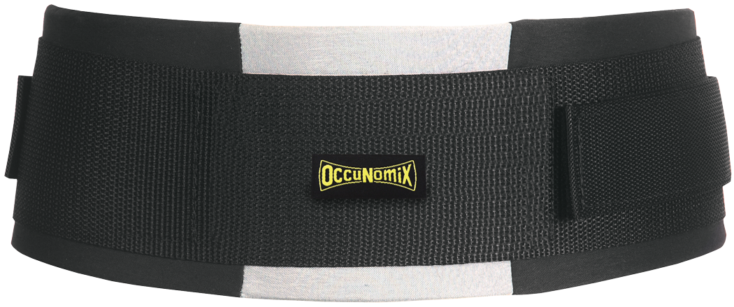 Premium Lifter's Back Support