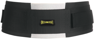 Premium Lifter's Back Support - Image 1