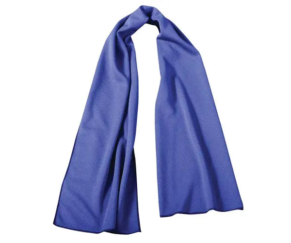 Wicking & Cooling Cooling Towel